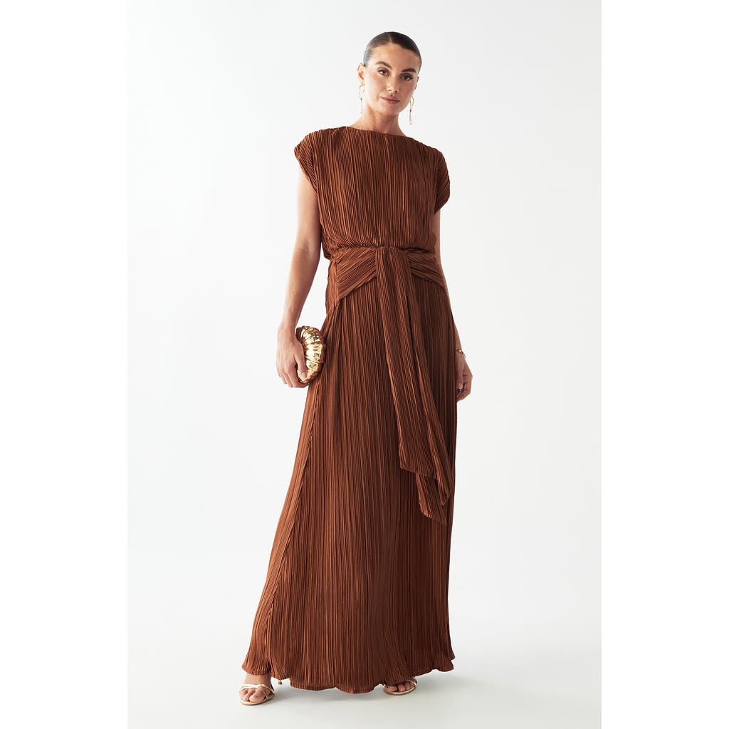 Savel Zarina Maxi Dress In Brown