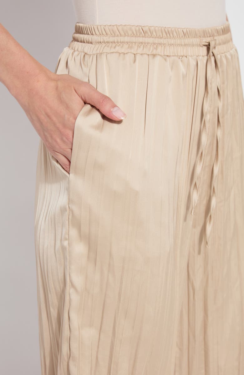 Lysse Packable Pleated Palazzo Pants, Alternate, color, 