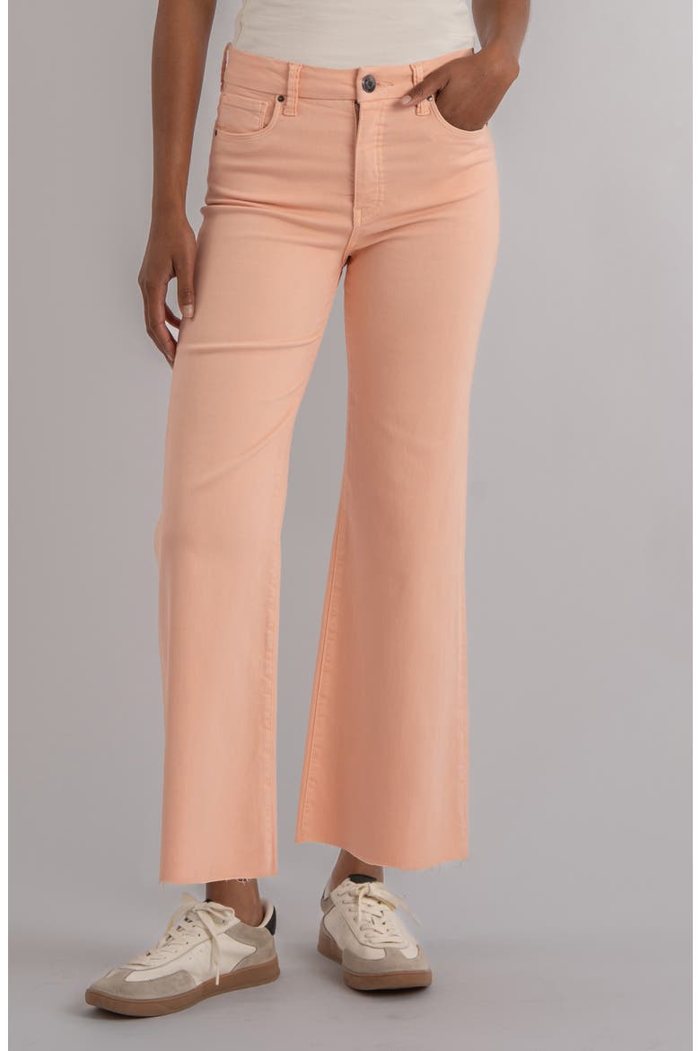 Meg Fab Ab Raw Hem High Waist Wide Leg Jeans, Main, color, SHERBET