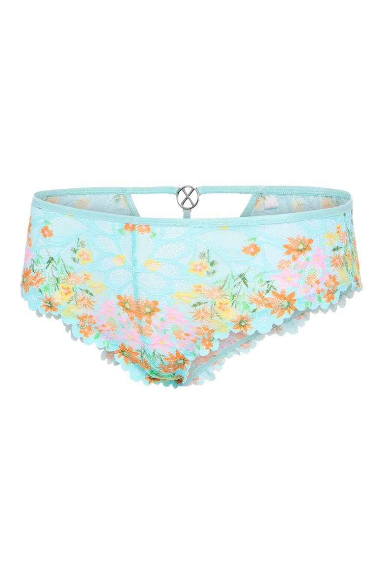 Savage Not Sorry Lace Cheeky Panties, Main, color, SPLASH ME BLUE FEELING FLORAL