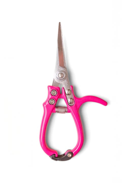 Pruning Shears