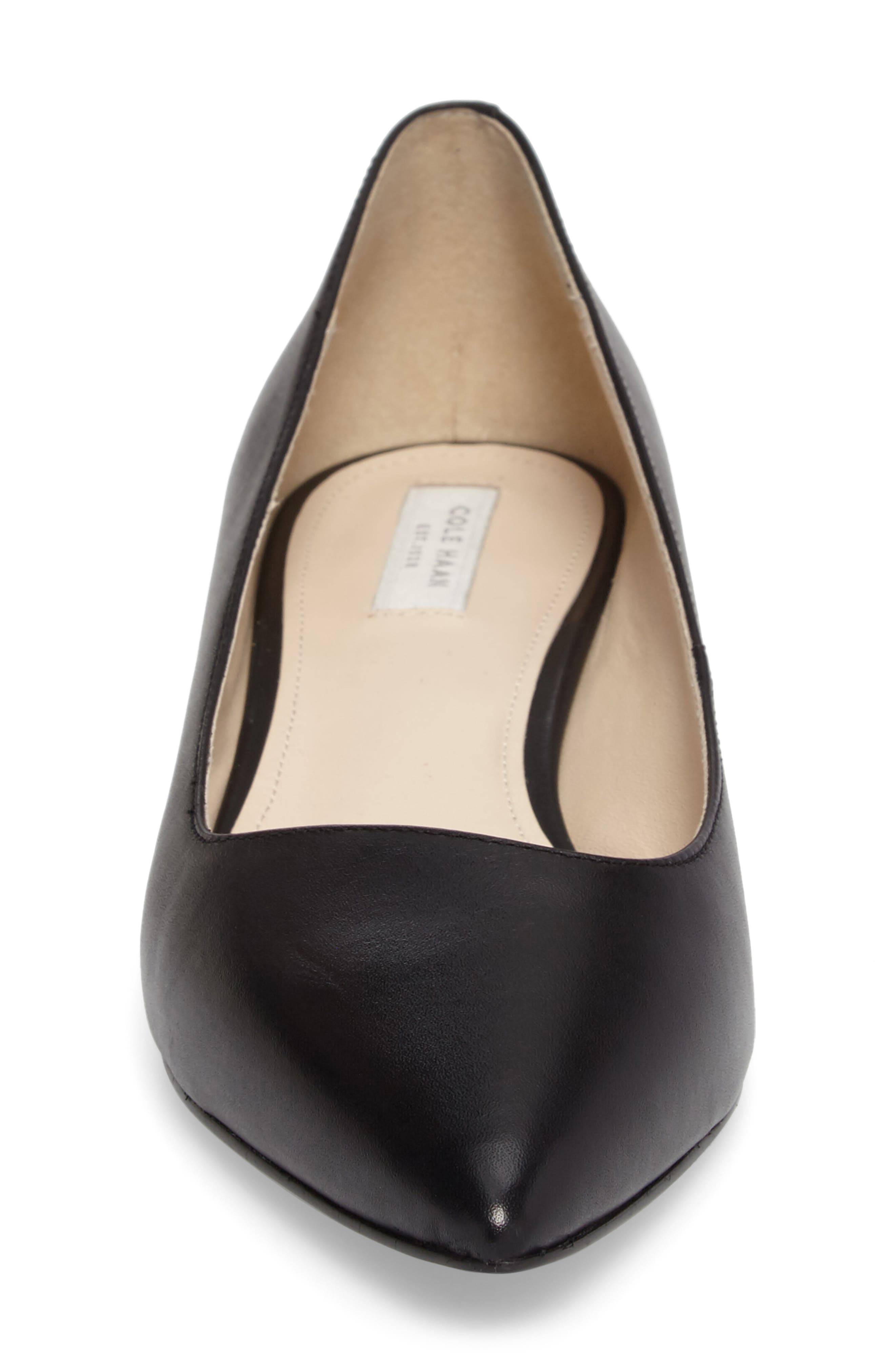 Heidy Pointy Toe Flat, Alternate, color, BLACK LEATHER