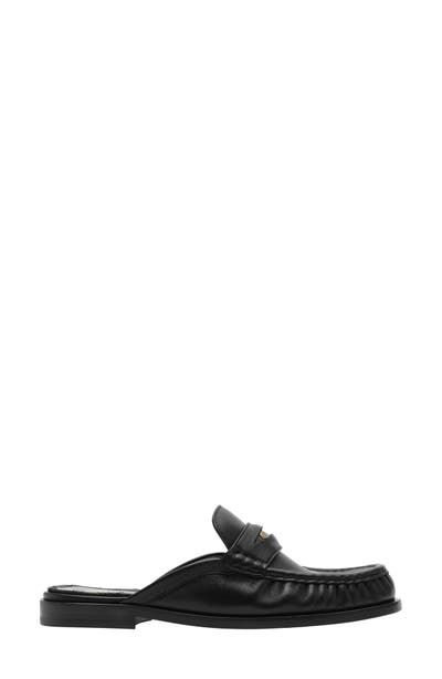 style board product image
