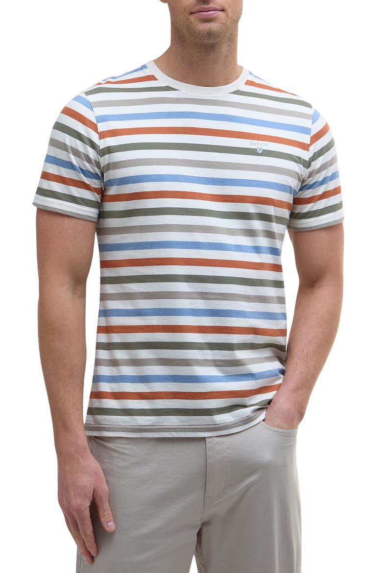 Rokeby Stripe Cotton T-Shirt, Main, color, WHISPER WHITE