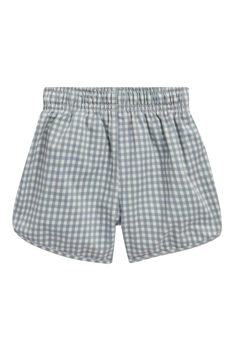 Gingham Print UPF 50+ Swim Trunks, Alternate, color, OCEAN