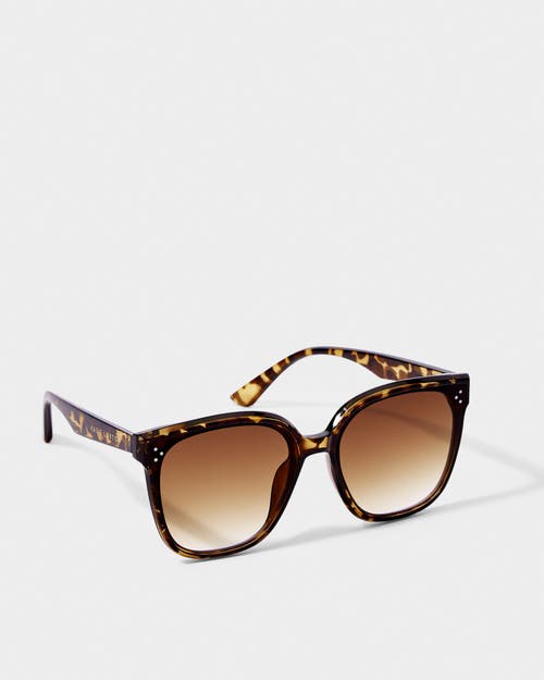 Katie Loxton Savannah Sunglasses In Brown