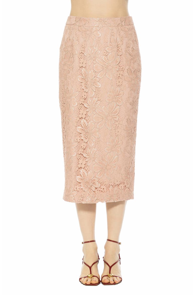 Taye Lace Midi Pencil Skirt, Main, color, PINK