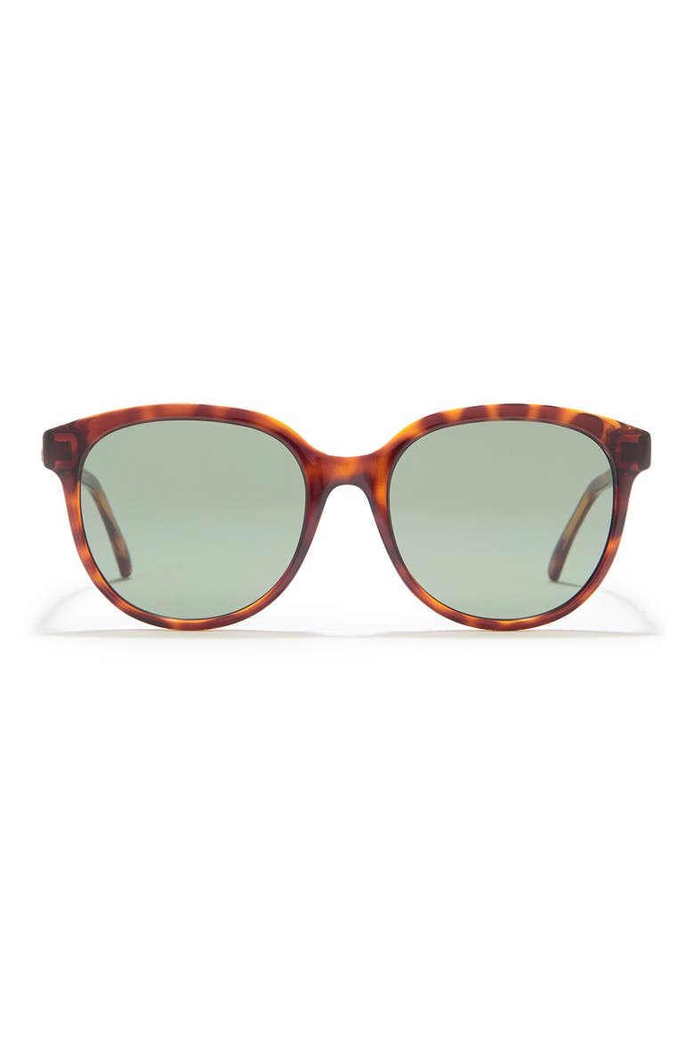 55mm Modified Round Sunglasses, Main, color, HAVANA HAVANA GREEN/GRN