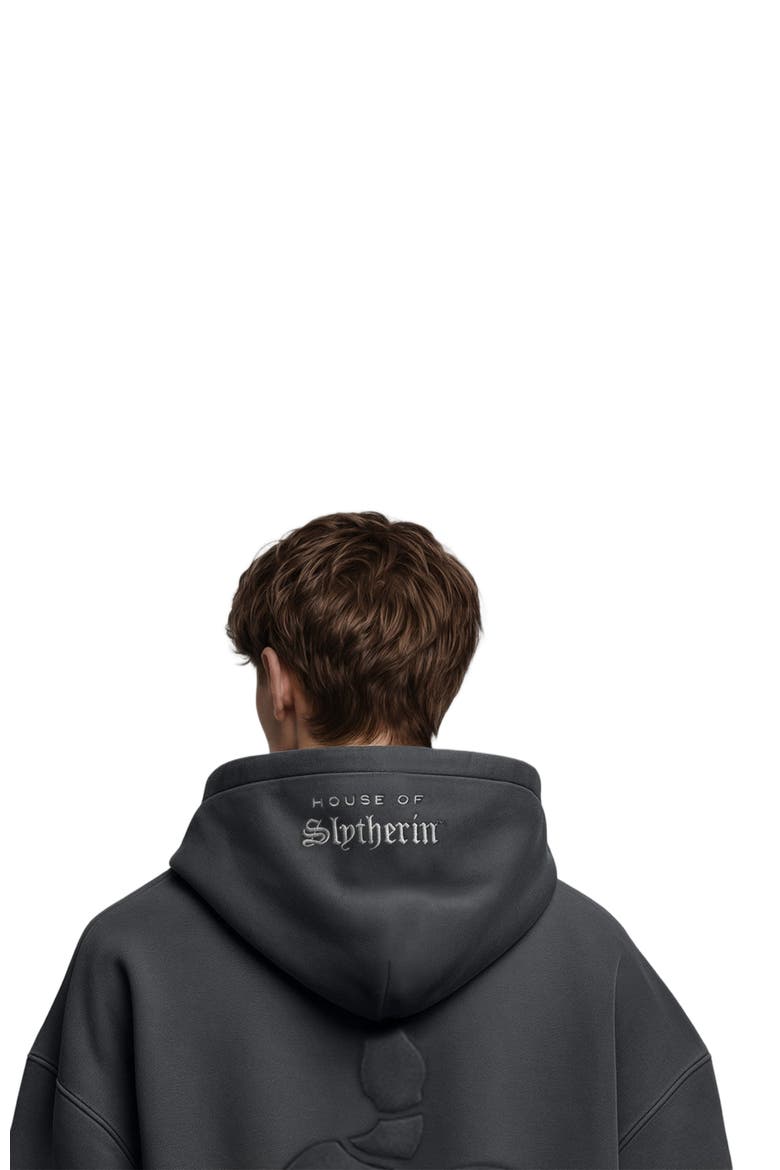 Harry Potter x Blvck 'Nagini' Hoodie, Alternate, color, Dark Grey