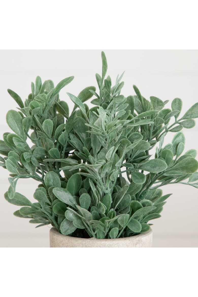 8-in Artificial Boxwood in Decorative Planter - Set of 2, Alternate, color, Green