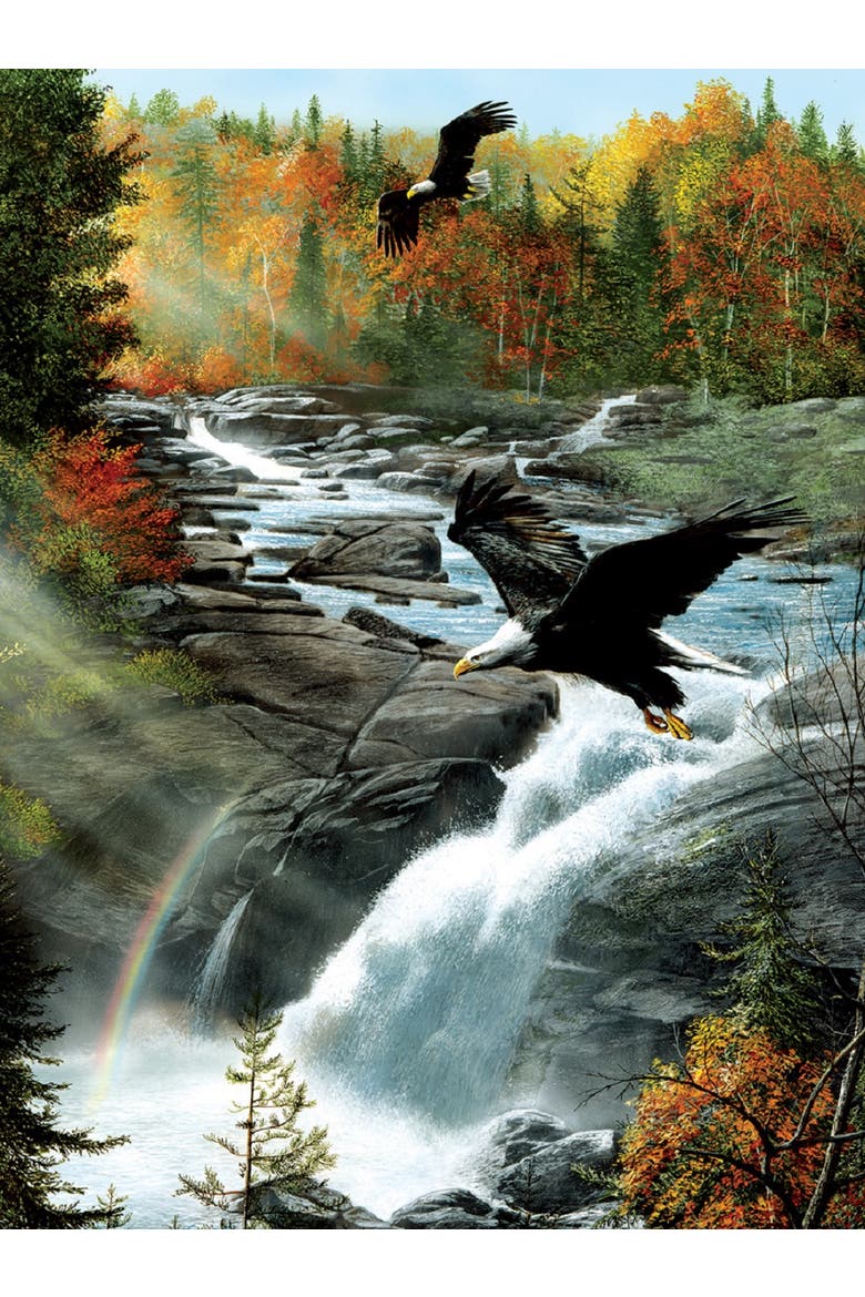 Gooseberry Falls 1000 piece Jigsaw Puzzle for Adults, Alternate, color, Multicolor