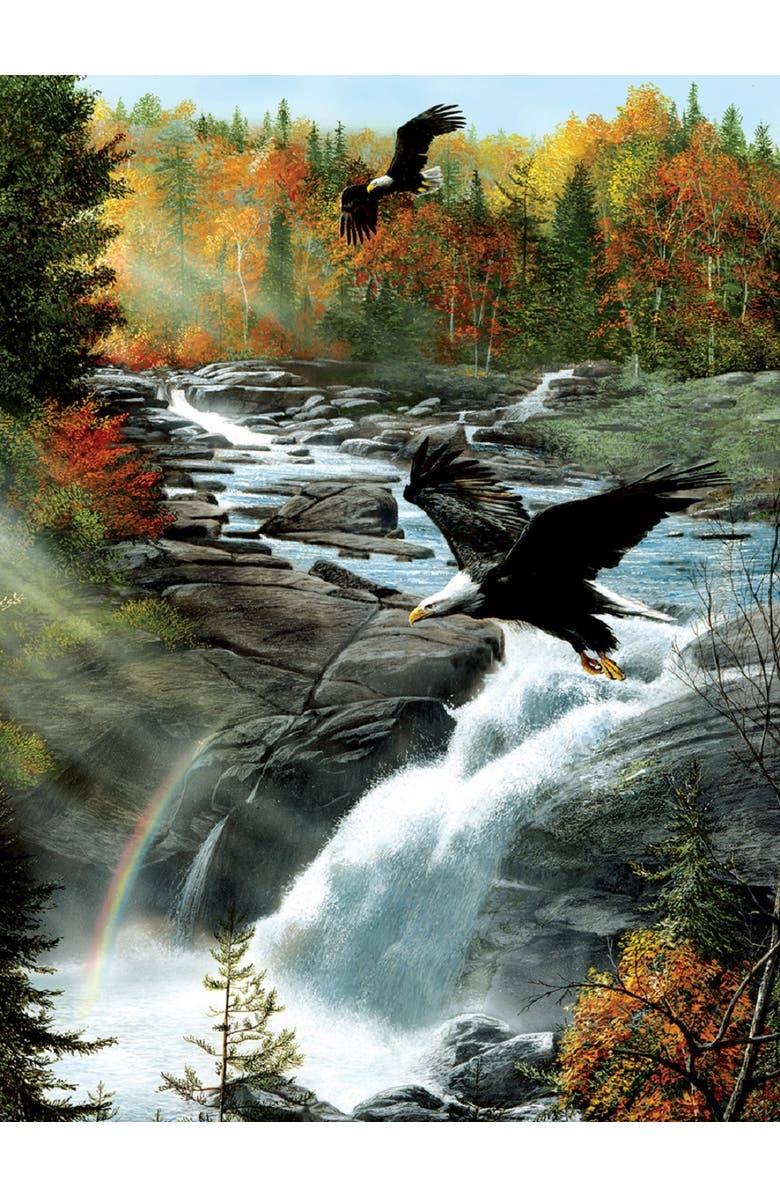 Sunsout Gooseberry Falls 1000 piece Jigsaw Puzzle for Adults, Alternate, color, Multicolor