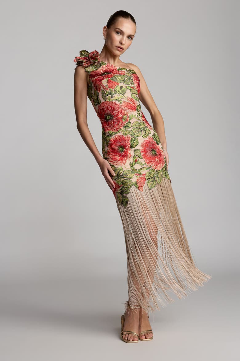 Embroidered One Shoulder Dress With Fringe Hem, Alternate, color, Nude Multi