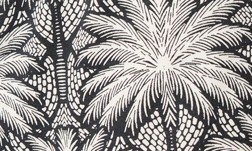 Shop Pj Salvage Shady Beach Pajama Shorts