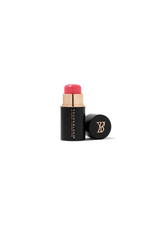 Youngblood Mineral Cosmetics Mini Vividluxe Crème Blush Stick
