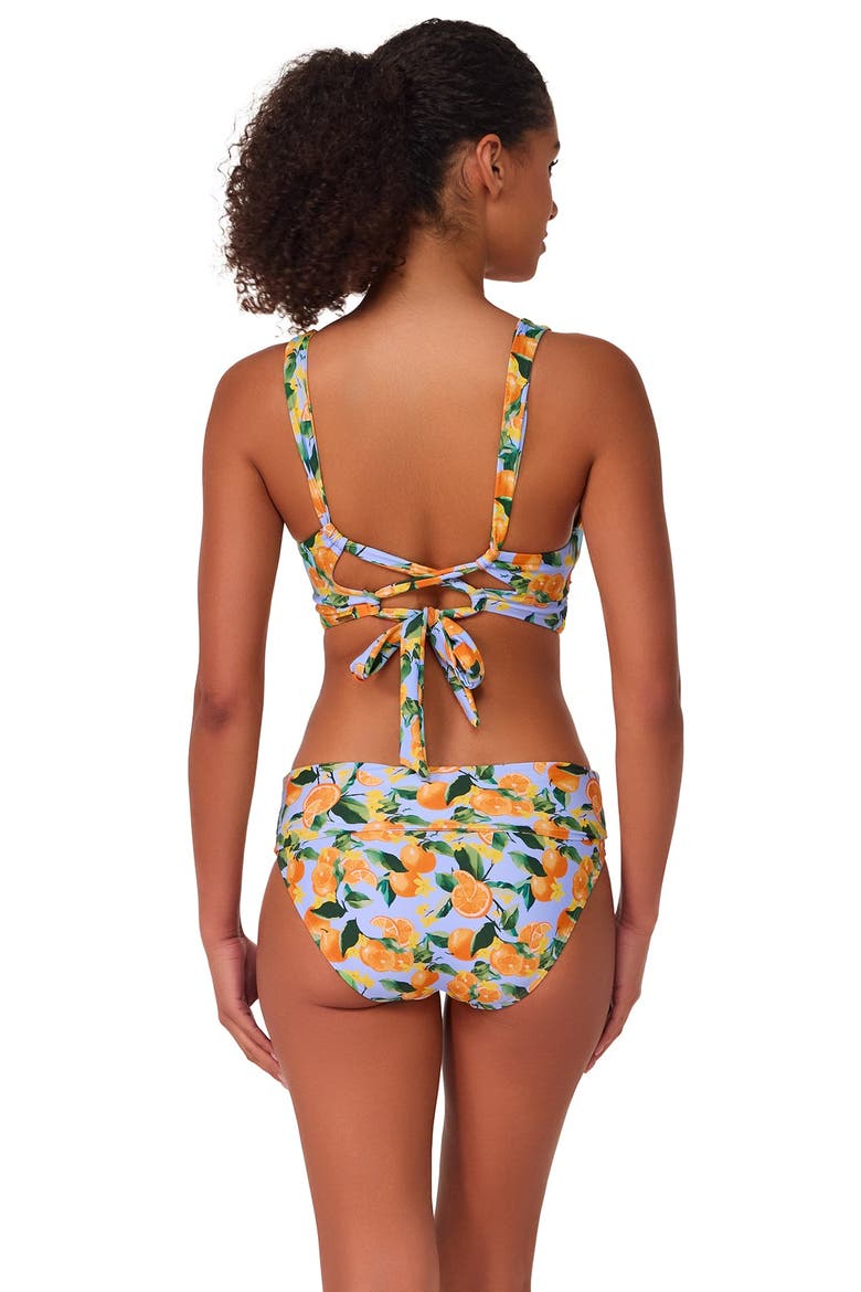 Elsie Bikini Swimsuit Top - D Cup, Alternate, color, Clementine