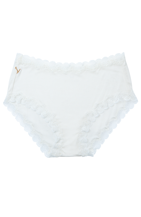Soft Silk Briefs