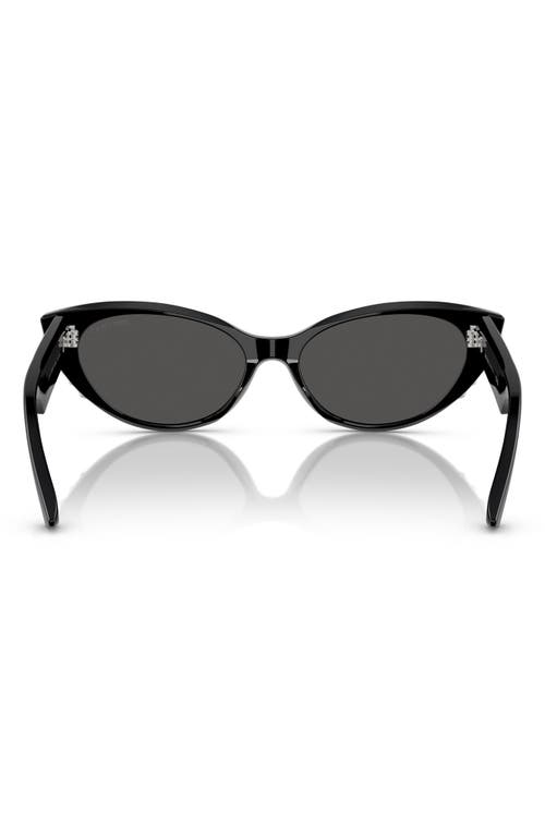 Jimmy Choo 55mm Cat Eye Sunglasses In Black