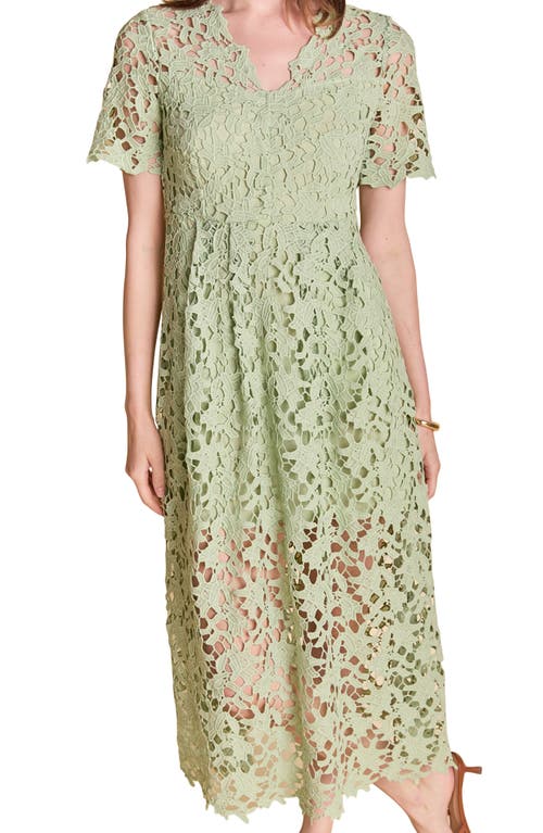 Endless Rose Allover Lace Midi Dress