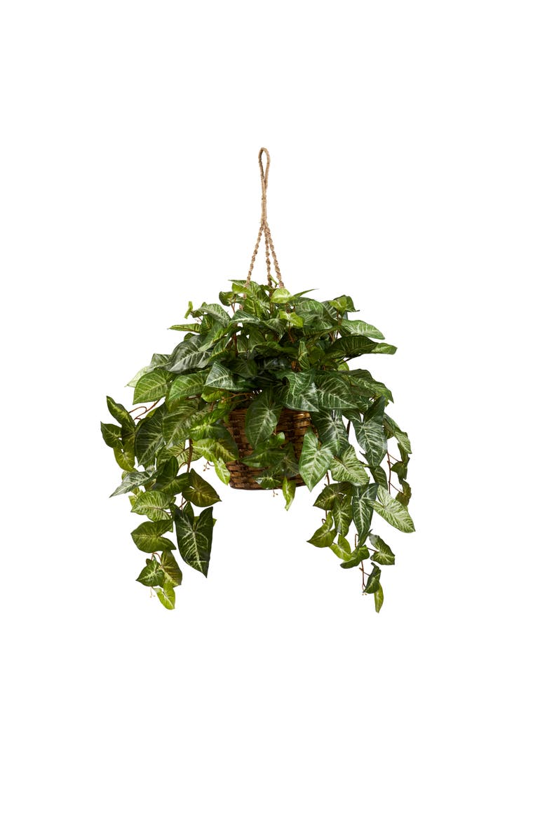 NEARLY NATURAL Nephthytis Hanging Basket, Main, color, Green