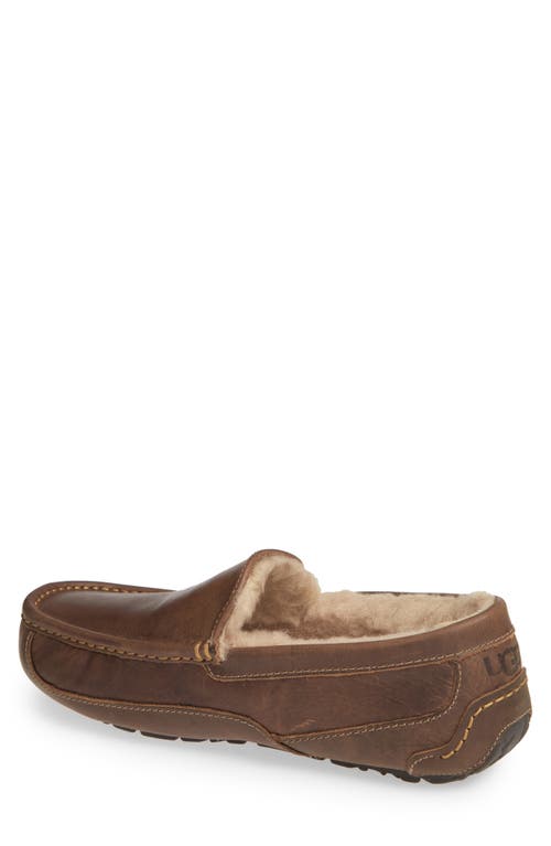 Ugg(r) Ascot Leather Slipper In Brown
