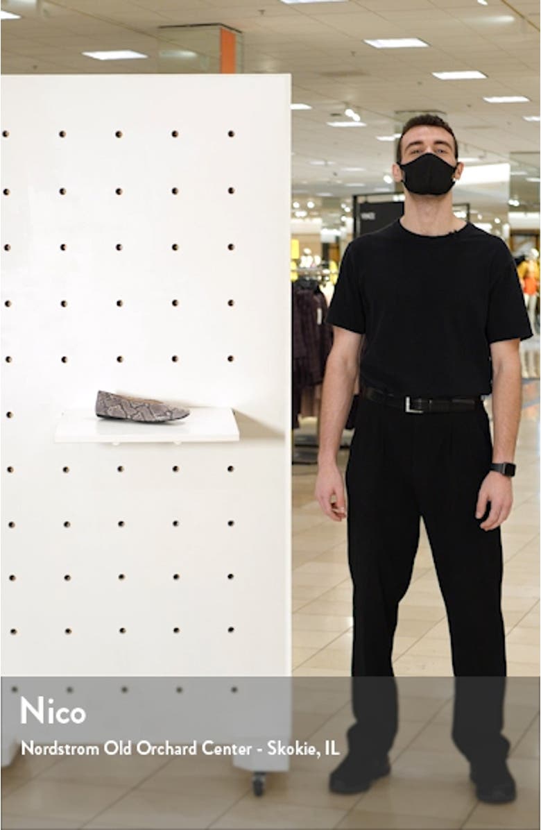 Trishina Ballet Flat, sales video thumbnail