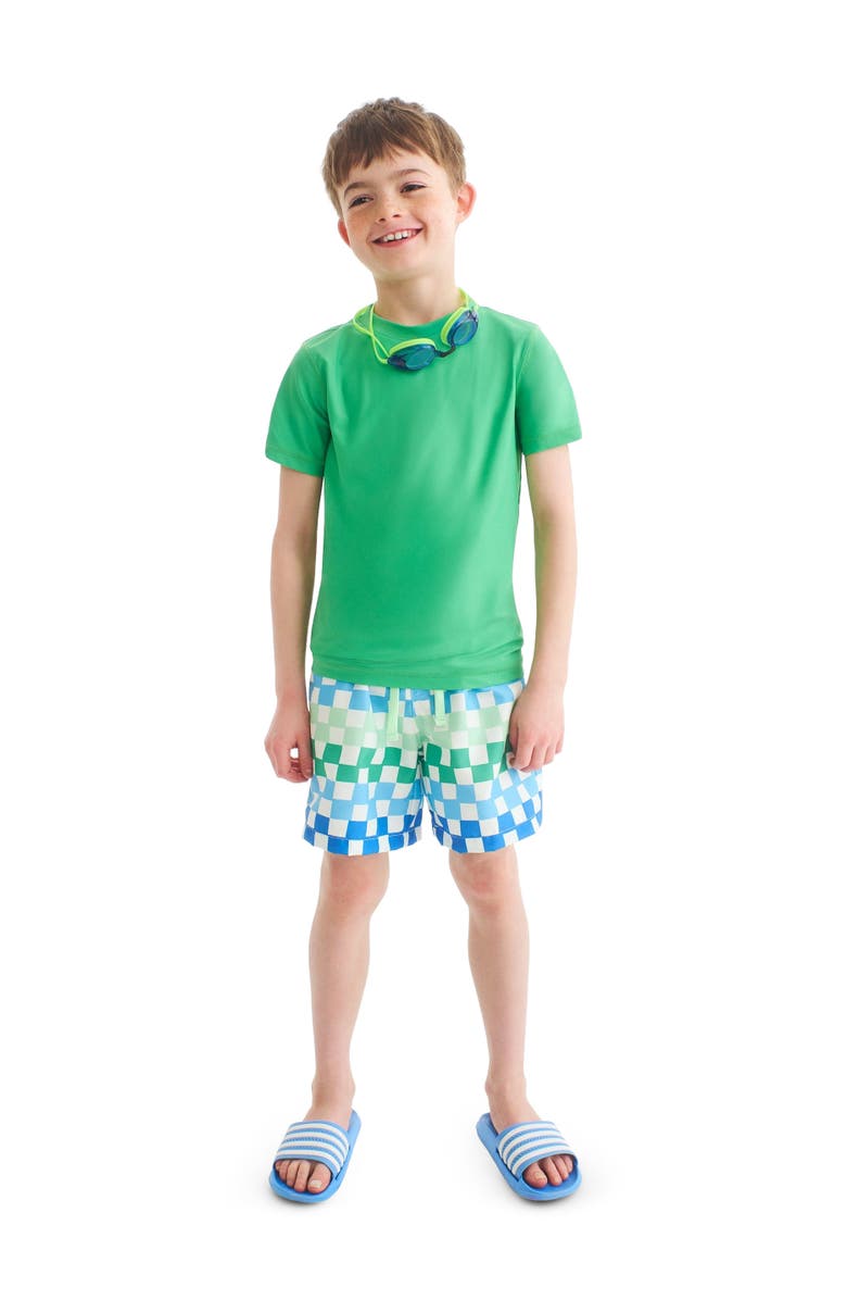 Primary Kids Swim Trunk In Check, Alternate, color, Green Apple Multi Checks