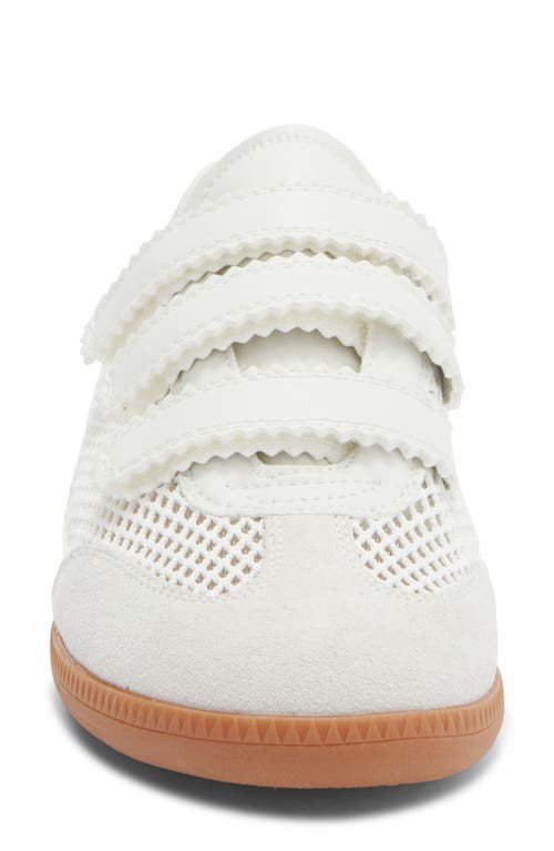 Steve Madden Momentum Sneaker In White