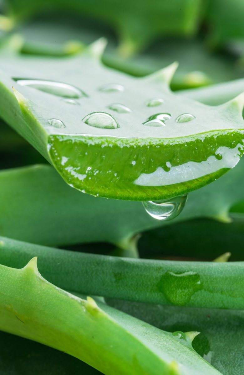 JURLIQUE Aloe Vera Hand Cream, Alternate, color, 125Ml