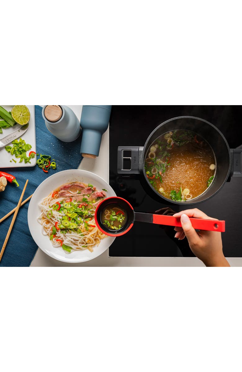 WOLL Ecologic Nonstick Stock Pot 9.5-Inch, 4.75 Quart, Alternate, color, Black