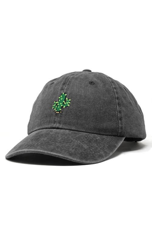 Dalix Cactus Embroidered Low Crown Cap In Washed Black