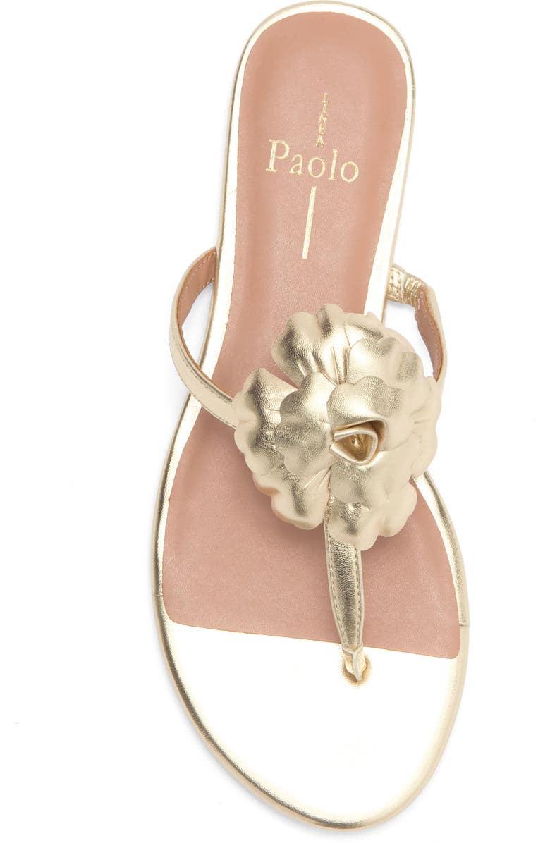 Linea Paolo Laurel Flower Sandal, Alternate, color, Gold