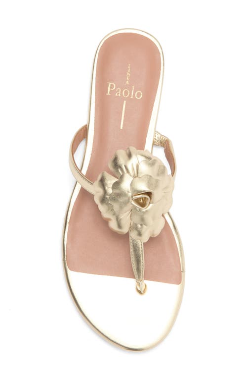 Linea Paolo Laurel Flower Sandal