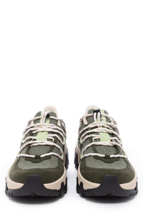P448 Monalea Sneaker In Jalapeno