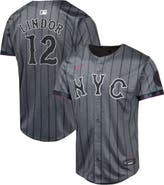 Nike Youth Nike Francisco Lindor Graphite New York Mets 2024 City Connect Limited Player Jersey