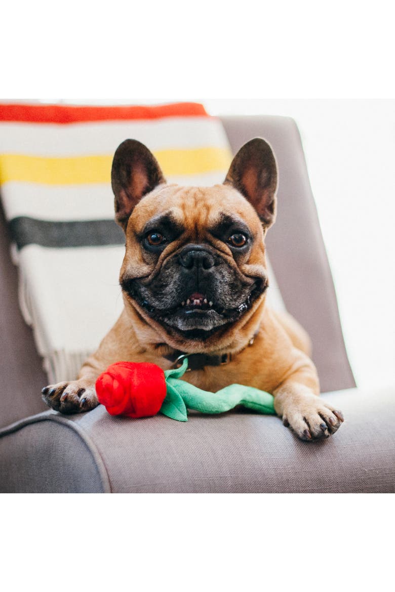 Puppy Love Rover's Roses, Plush Dog Toy, Alternate, color, Multicolored