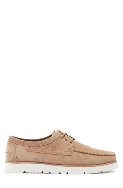 Steve Madden Kolt Moc Toe Derby In Brown