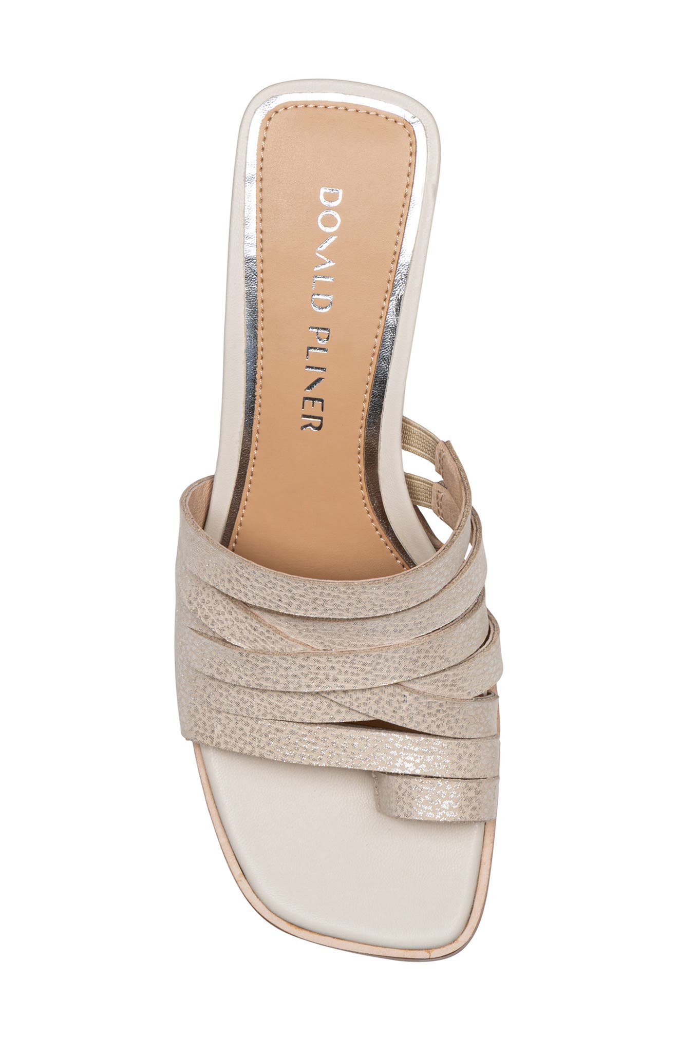 Donald Pliner Dayvi Toe Loop Sandal, Alternate, color, Silver