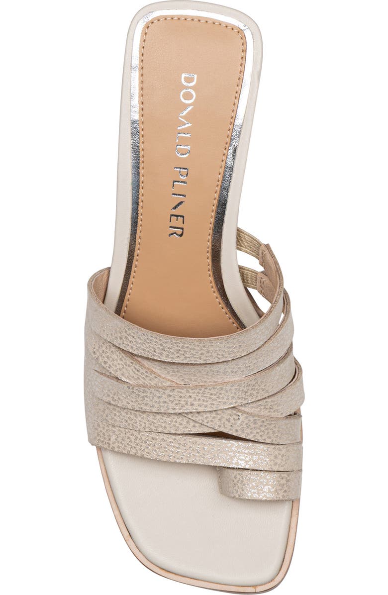 Donald Pliner Dayvi Toe Loop Sandal, Alternate, color, Silver