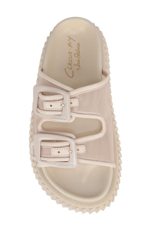 Circus Ny By Sam Edelman Cris Mesh Sandal In Vanilla Bean