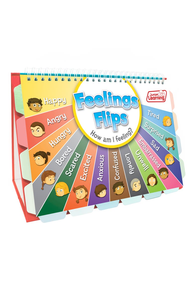 Flip Chart Feelings Flash Cards, Main, color, Multicolored