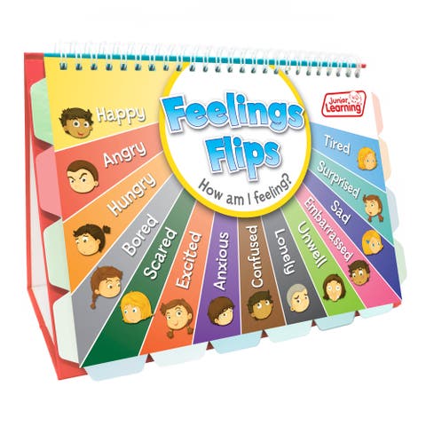 Flip Chart Feelings Flash Cards