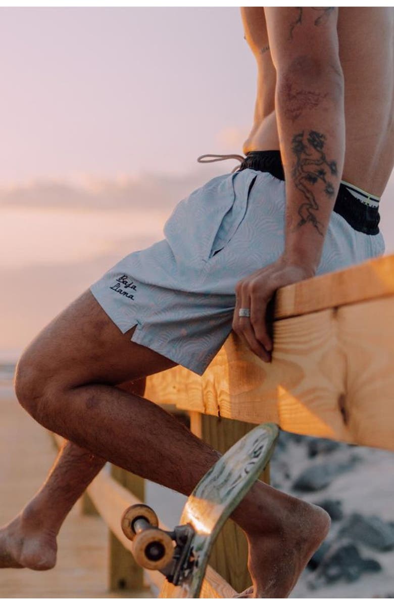 Baja Llama TOO MANY LINES ZEBRA - STRETCH SWIMSUIT, Alternate, color, 