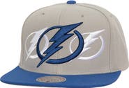 Mitchell & Ness Men's Mitchell & Ness Gray Tampa Bay Lightning Soul Triple Up Snapback Hat