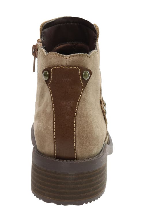 David Tate Spike Stud Bootie In Brown