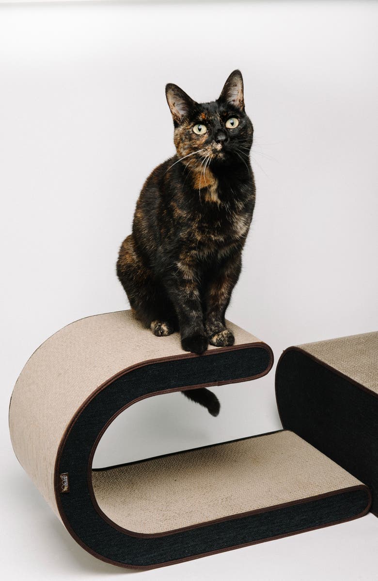 P.L.A.Y . The Arty Cat Scratcher, Alternate, color, 