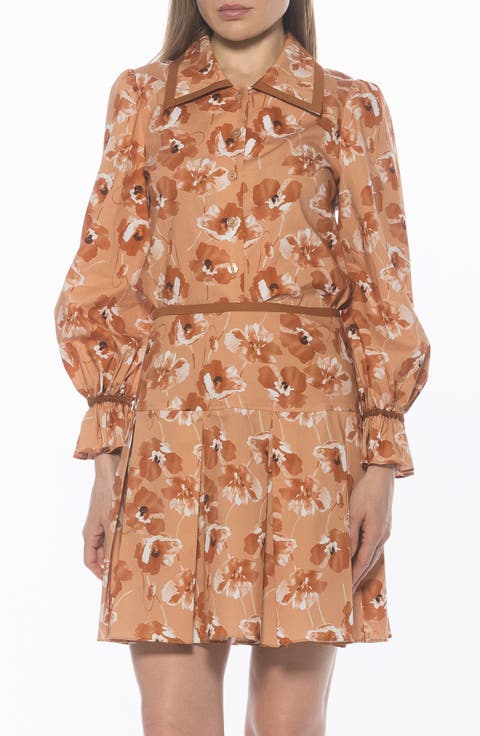 Shannan Tipped Collar Button-Up Shirt