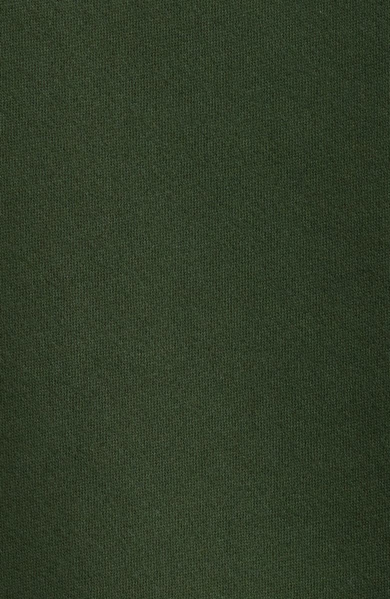 Museum of Peace & Quiet University Logo Colorblock Cotton Hoodie, Alternate, color, Forest