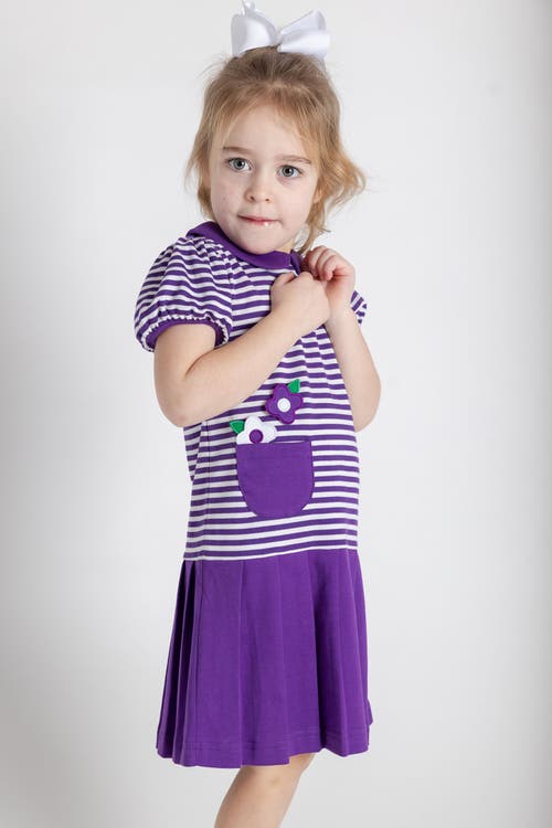 Florence Eiseman Stripe Knit Pleated Dress With Flowers In Purple