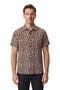 selected Leopard Brown